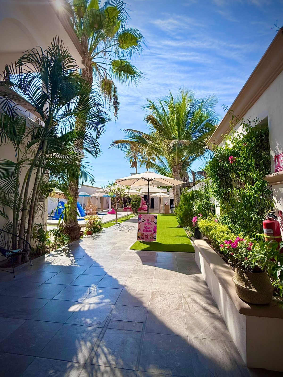 Jardín con palmeras